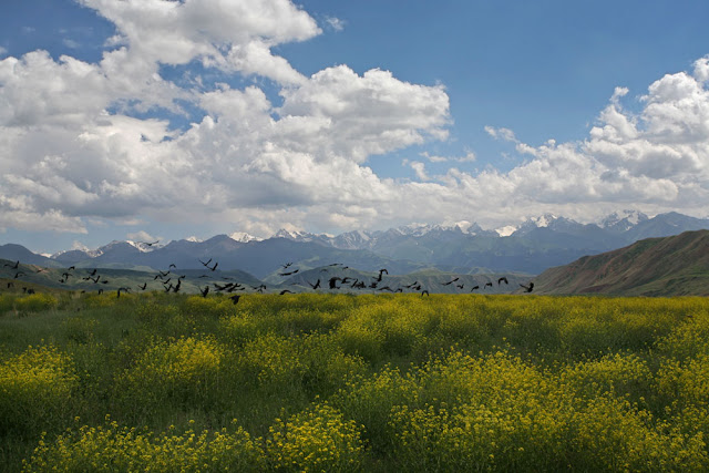Eki Naryn Jailoo, Kyrgyzstan