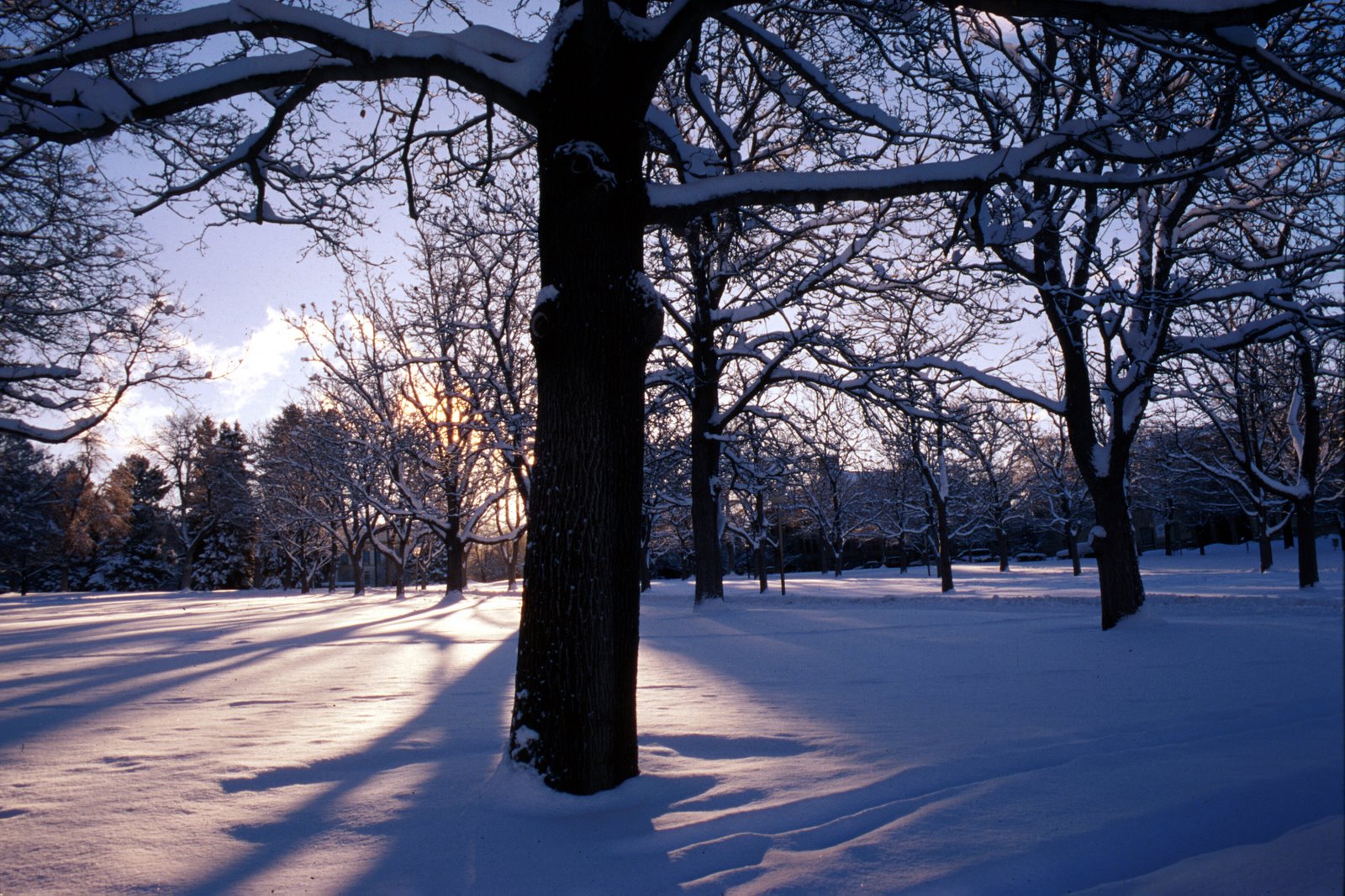 [campus_winter_nature.jpg]