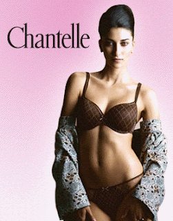 picture of a brown haired woman in matching brown, lacy bra and panties with a blue and brown shirt hanging by her lower arms and waist with the words Chantelle, the brand name, in the upper left hand corner and all on a pink background