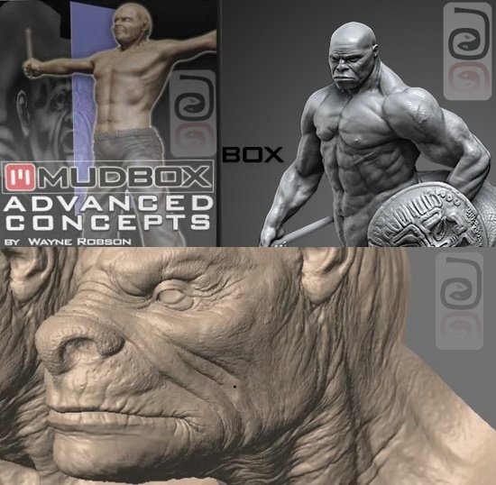 Mudbox+Advanced+Concepts_00.jpg