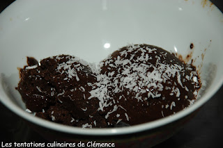 recettes Sorbet au chocolat