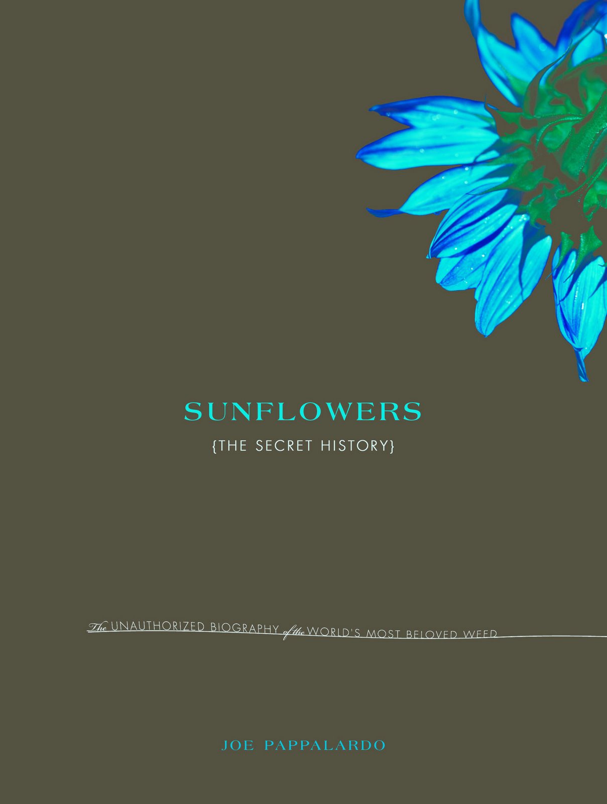 [sunflowers+FINAL+copy.jpg]