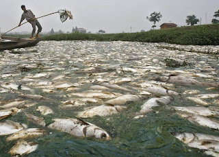 Asian Water Pollution 105
