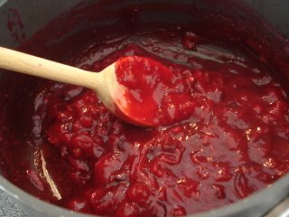 [cranberries.JPG]