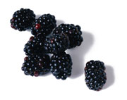 [blackberries.jpg]